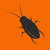 Roach