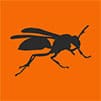 Wasp