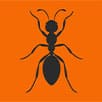 Ant