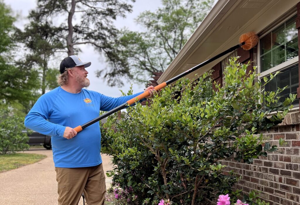 Providing Pest Control Services in Whitehouse TX