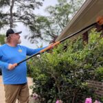 Providing Pest Control Services in Whitehouse TX