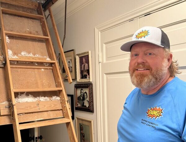 Termite Control Services in Tyler TX